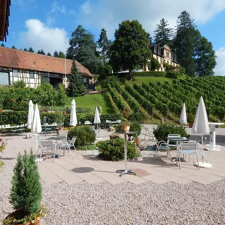 Wein - Josephsberg 2 Durbach