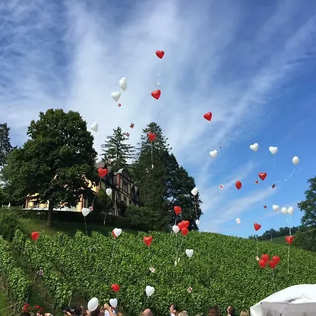 Wein - Josephsberg 2 * Durbach