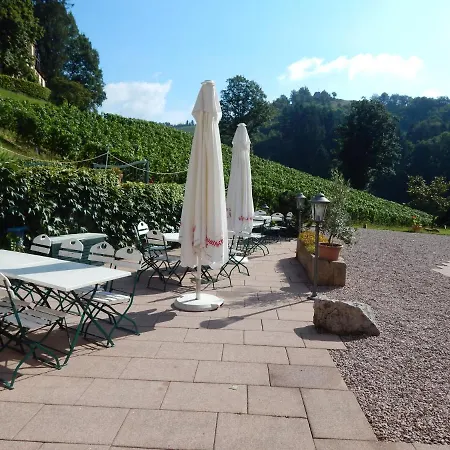 Wein - Josephsberg 2