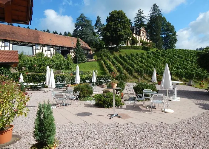 Wein - Josephsberg 2 Durbach