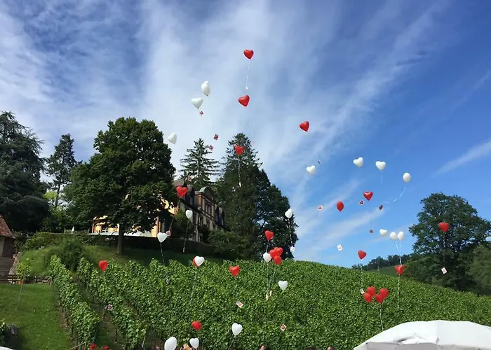 Wein - Josephsberg 2 * Durbach