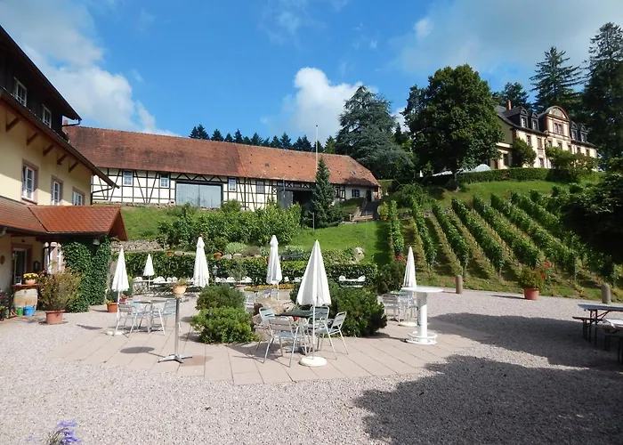 Wein - Josephsberg 2 * Durbach